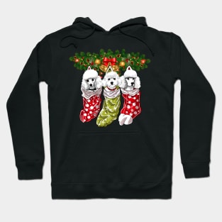 Poodles Socks Christmas Gifts Dogs Lovers Hoodie